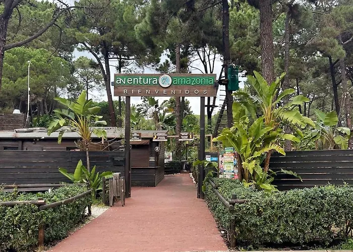 Newly Furnished Elviria شقة *